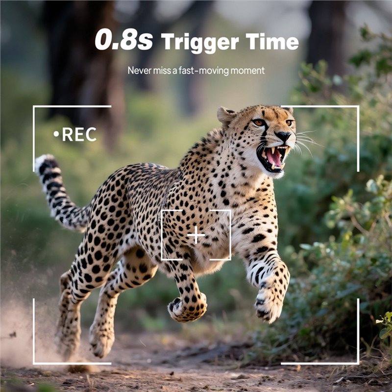 Outdoor Trail Hunting Camera 1 - Trail Camera Infrared review and price