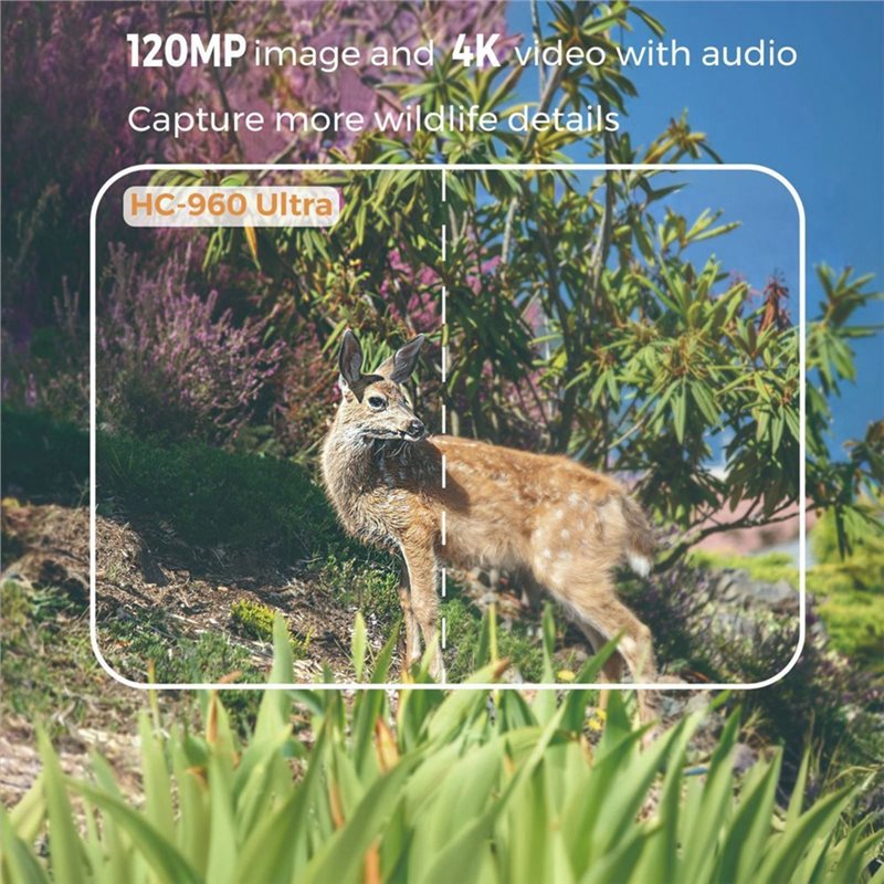 A99E-Outdoor 4G 120MP 4K Live  - Hunting And Outdoor Shows review and price